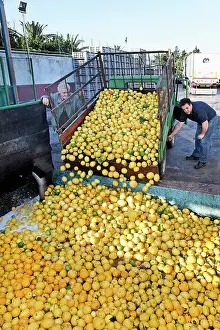 Lorry: Lemon