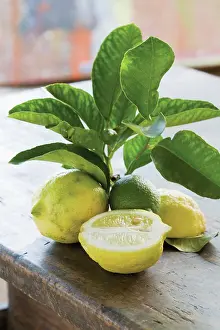 Poise: Lemon