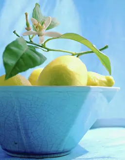 Skincare: Lemon