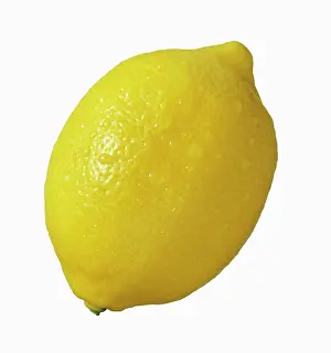 Lemon: Lemon, Citrus limon, Cut out on white of one whole