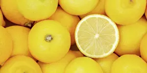 Essen: Lemon Fruit Lemon Fruit from above Panorama