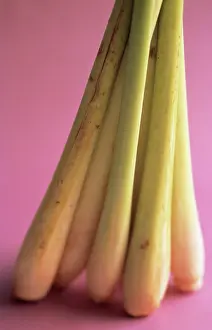 Citratus: Lemongrass