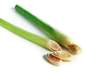 Citratus: Lemongrass