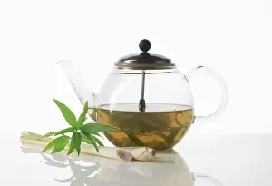 Verbena: Lemongrass