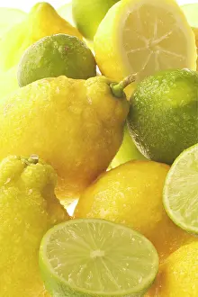 Lemons: Lemons & Limes - close-up