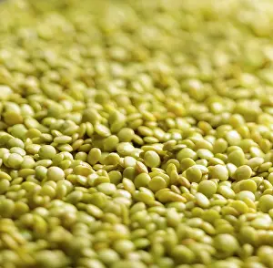 Lens: Lentil, Lens culinaris, A mass of yellow split lentils