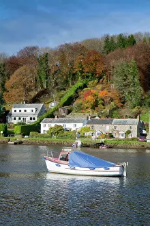 Fowey: Lerryn - River Fowey