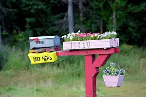 Flowerpots: Letterbox / mailbox and flowerpots