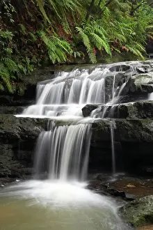 Leura: Leura Cascades, Blue Mountains, New South