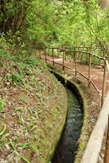 Verde: Levada do Caldeirao Verde