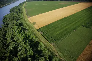 Levee: Levee and Farmlands