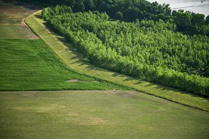 Levee: Levee and Farmlands