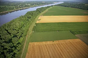 Levee: Levee and Farmlands