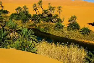 Libya: Libya, Fezzan, desert Erg Ubari, Umm el