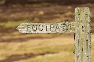 Sign: Lichen covered footpath sign on heather moorland