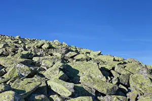 Harsh: Lichen covered Rocks