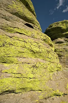 Rhyolite: Lichen on Rhyolite