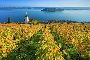 Indulgence: Ligerz on Lake Biel, Bern, Switzerland, Europe