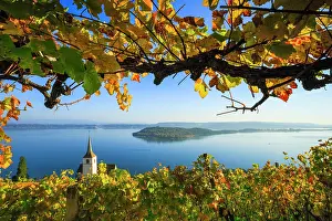 Indulgence: Ligerz on Lake Biel, Bern, Switzerland, Europe