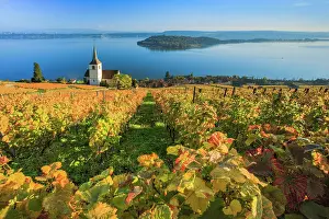 Indulgence: Ligerz on Lake Biel, Bern, Switzerland, Europe