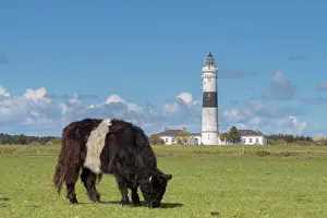 Belted: Lighthouse Kampen at island of Sylt - North Frisia