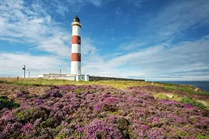 Ness: Lighthouse of Tarbat Ness, Wilkhaven, near Portmahomack