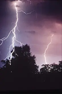 Storms: LIGHTNING - striking trees