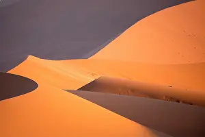 Curves: Lights and curves on the giant dunes of the Namib