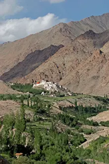 Ladakh: Likir Monastery, Ladakh, India