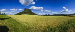 Wheat: The Lilienstein is one of the most prominent mountains