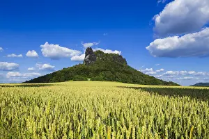 Wheat: The Lilienstein is one of the most prominent mountains