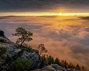 Lilies: Lilies stone view to sunrise, Elbe Sandstone Mountains