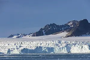 Shelf: Lilliehoeoek-Glacier