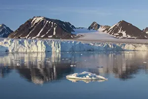 Shelf: Lilliehoeoek-Glacier