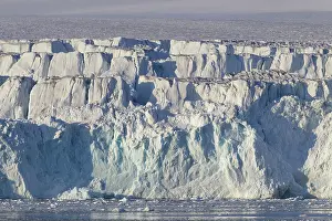 Lilliehoeoek: Lilliehoeoek-Glacier