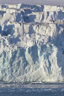 Lilliehoeoek: Lilliehoeoek-Glacier