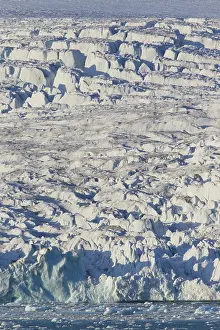 Lilliehoeoek: Lilliehoeoek-Glacier