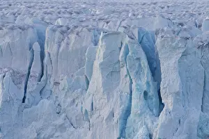 Lilliehoeoek: Lilliehoeoek-Glacier