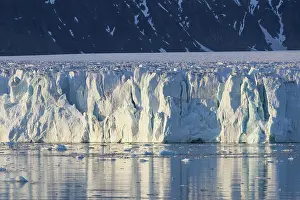 Shelf: Lilliehoeoek-Glacier