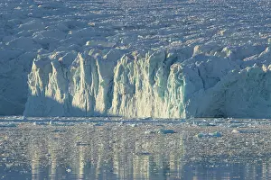 Lilliehoeoek: Lilliehoeoek-Glacier