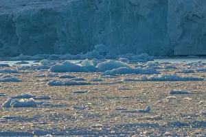 Seascapes: Lilliehoeoek ice Ice Floe Lilliehoeoek-Fjord at Krossfjo