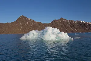 Floes: Lilliehoeoek ice Ice Floe Lilliehoeoek-Fjord at Krossfjo
