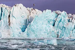 Krossfjord: Lilliehook Glacier