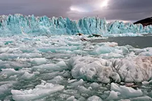Krossfjord: Lilliehook Glacier. Krossfjorden, Svalbard, Spitzbergern