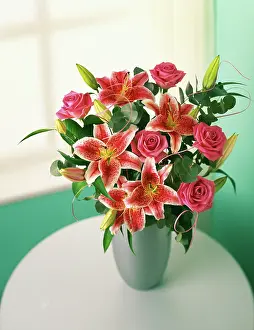 Smell: Lily