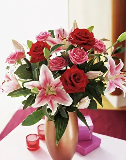 Chrysanthemum: Lily, Lilium Star Gazer, Floral arrangement with