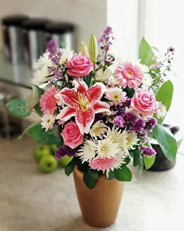 Dianthus: Lily, Lilium Star Gazer, Floral Arrangement with