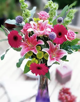 Thistles: Lily, Lilium Star Gazer with globe thistles, green