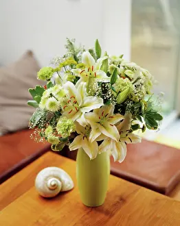 Lilium: Lily, Lilium Star Gazer white form, Floral arrangement