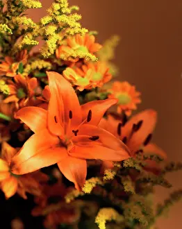 Bouquet: Lily